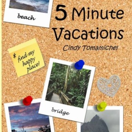 New Release: 5 Minute Vacations