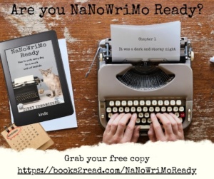 NaNoWriMo tips for writers
