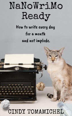 NaNoWriMo Ready